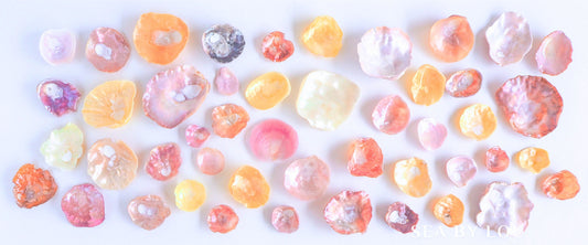 Jingle Shells Pearly Shells From Portugal