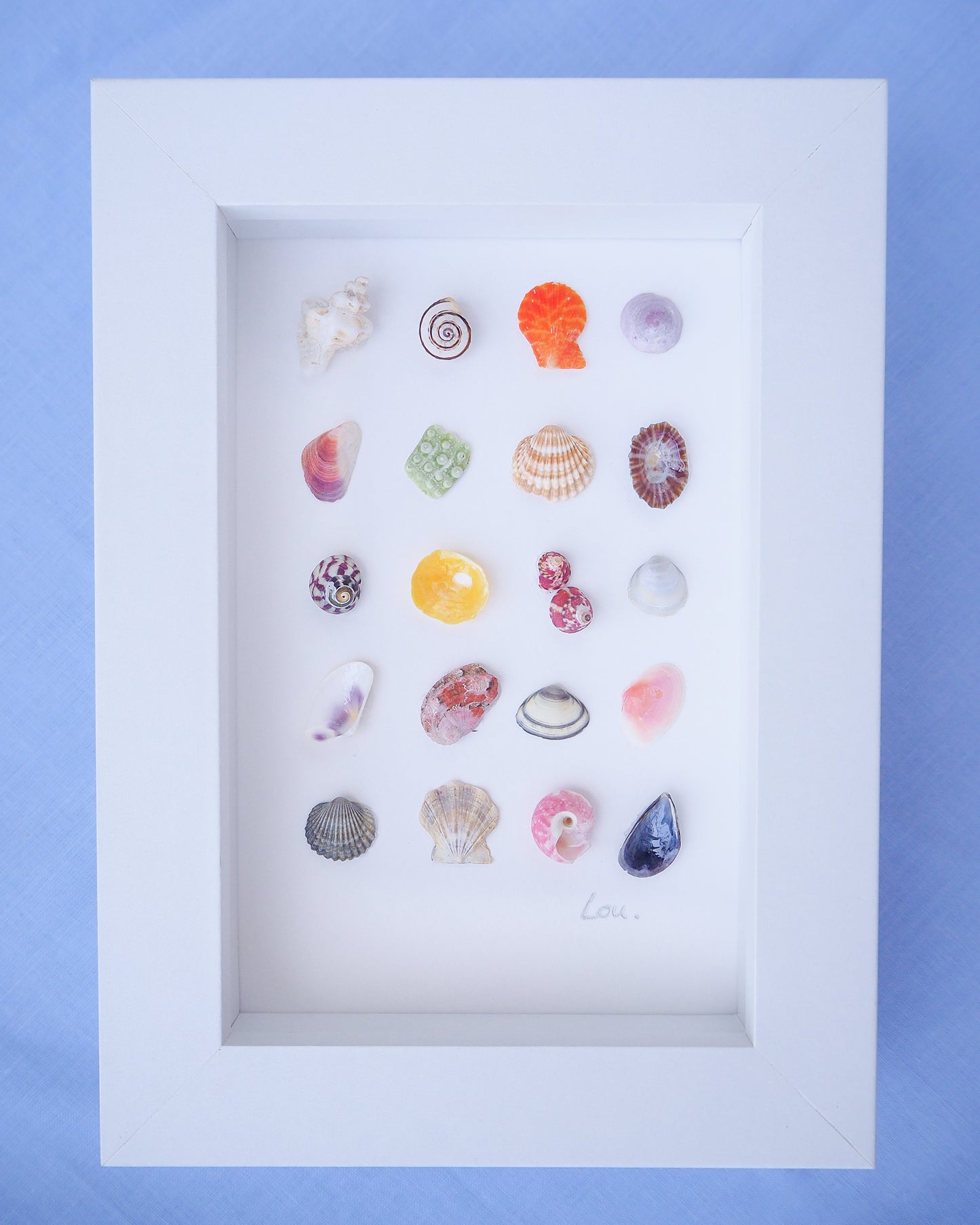 Front view of Seashell Artwork Mini Mix featuring 20 tiny beach treasures and shells handpicked from Portugal set in a white glass frame box. Coastal Beach Art for bookshelf and nightstand. seabylou, SEA by LOU