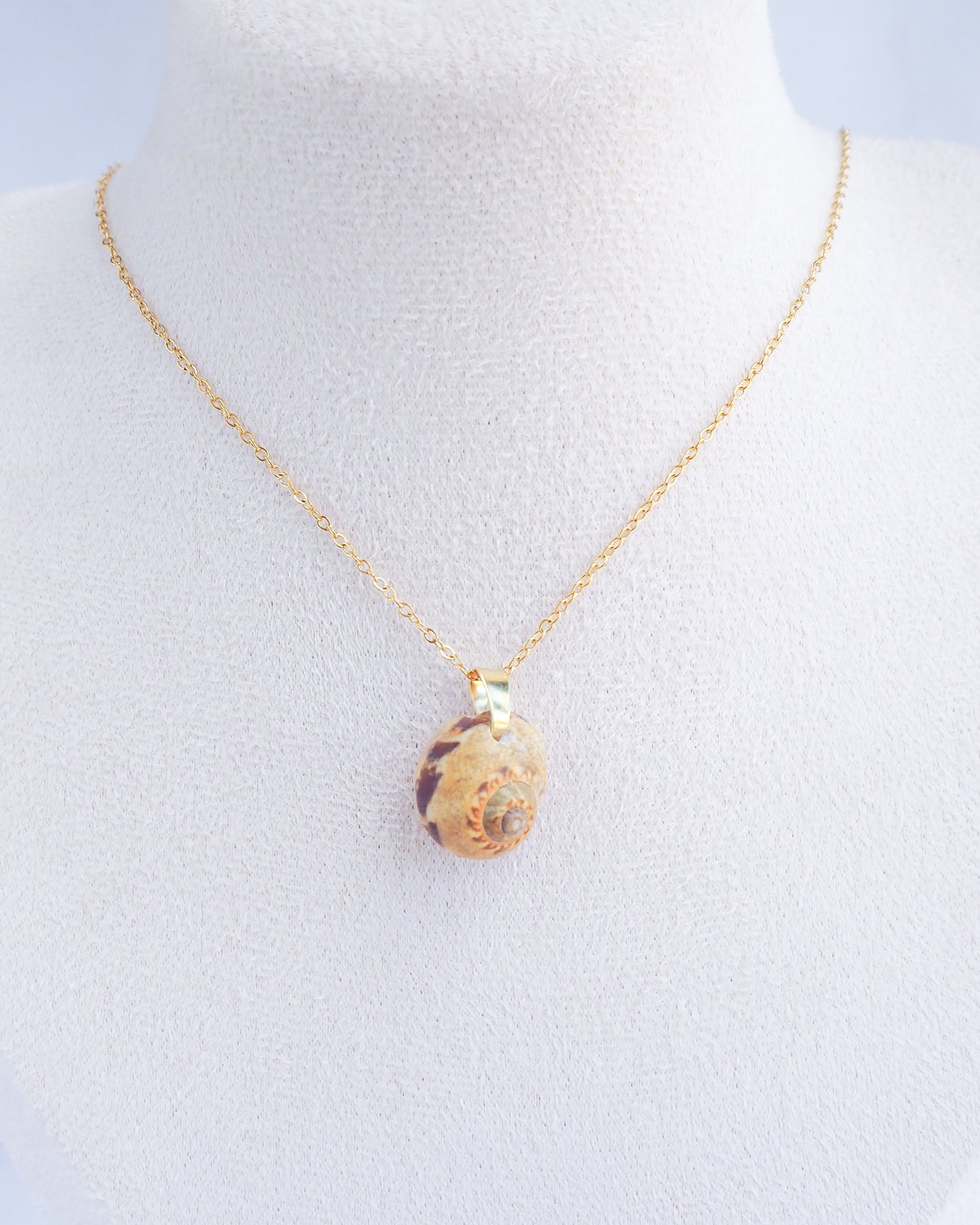 Moon Shell Gold Necklace on neck, Shell from Portugal, Euspira nitida shell, Alders Necklace Shell