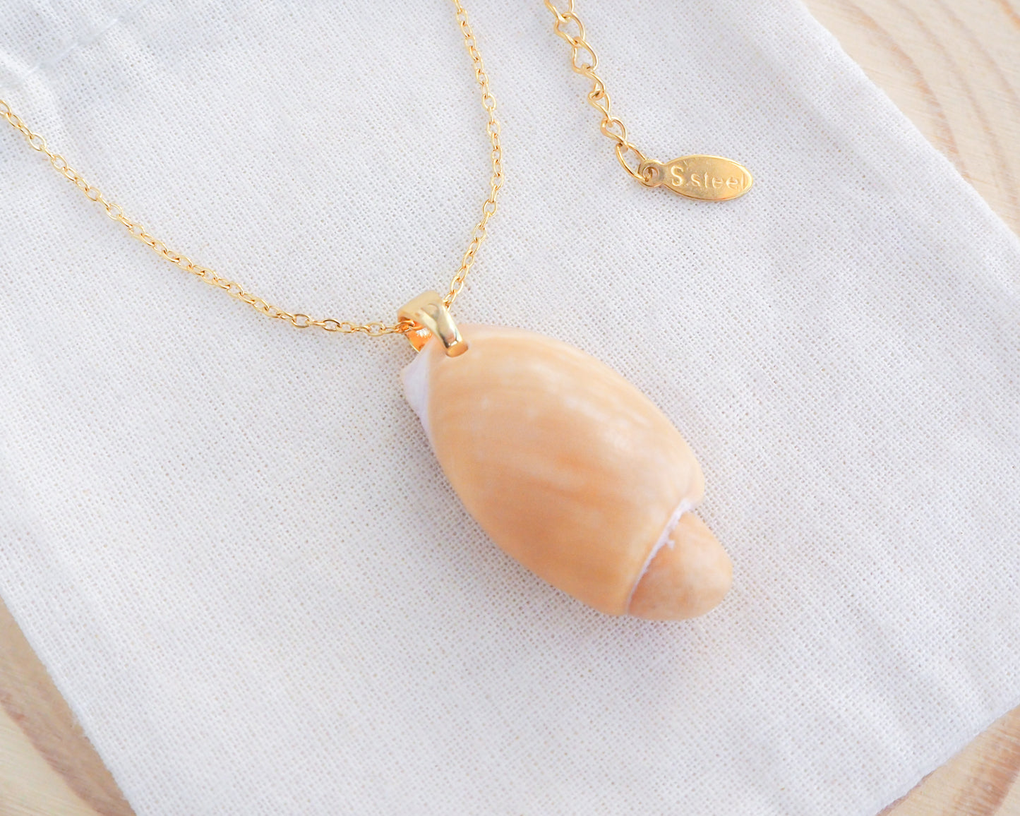 Algarve Volute Gold Necklace on display, Algarve Volute Shell from Portugal