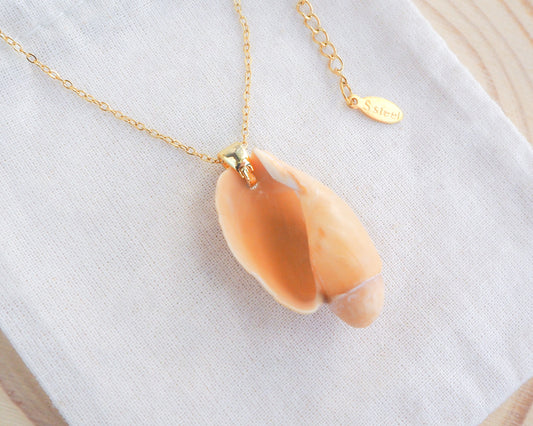 Algarve Volute Shell Gold Necklace, Shell Necklace from Portugal