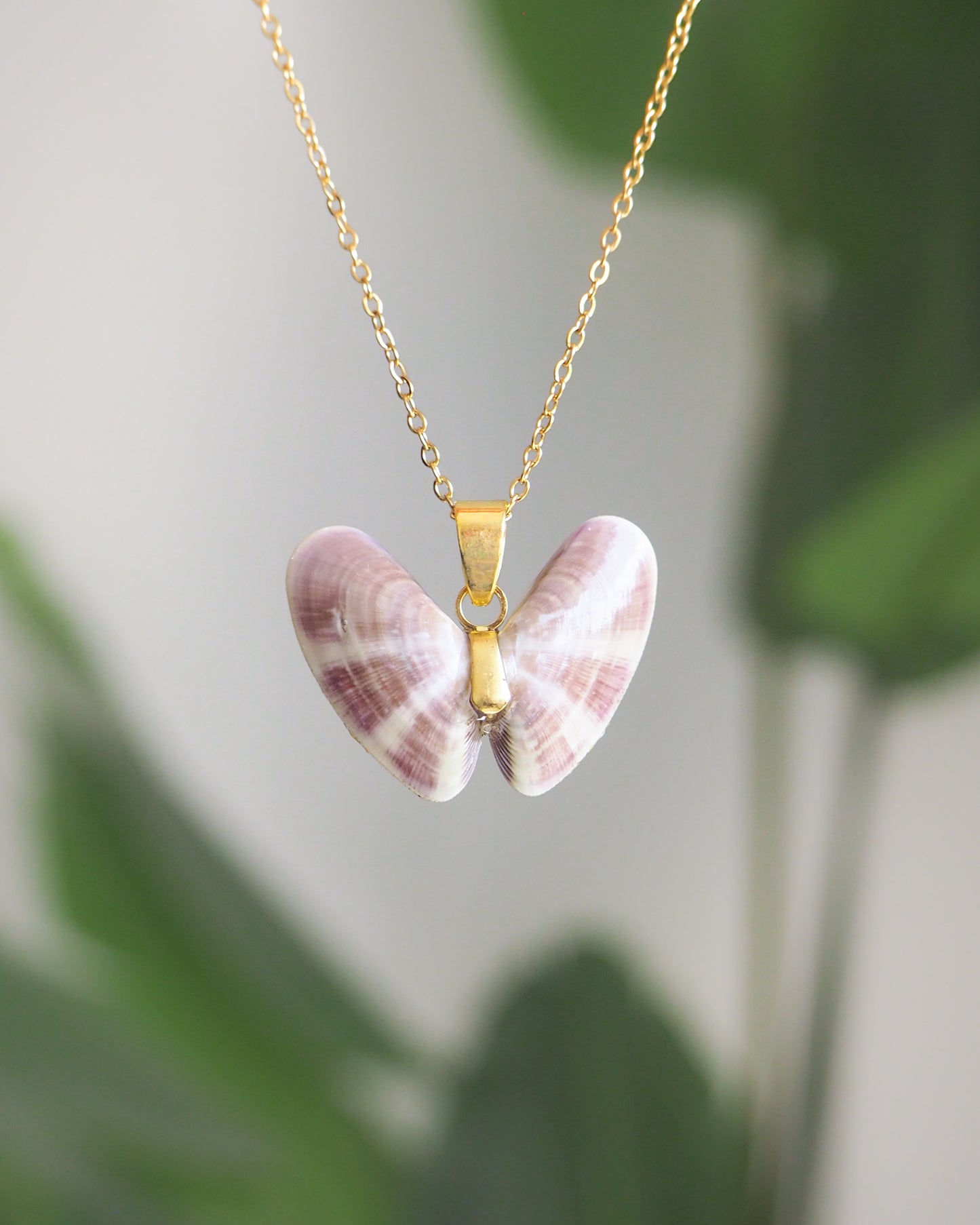 Purple Lovely Donax Coquina Shell Necklace
