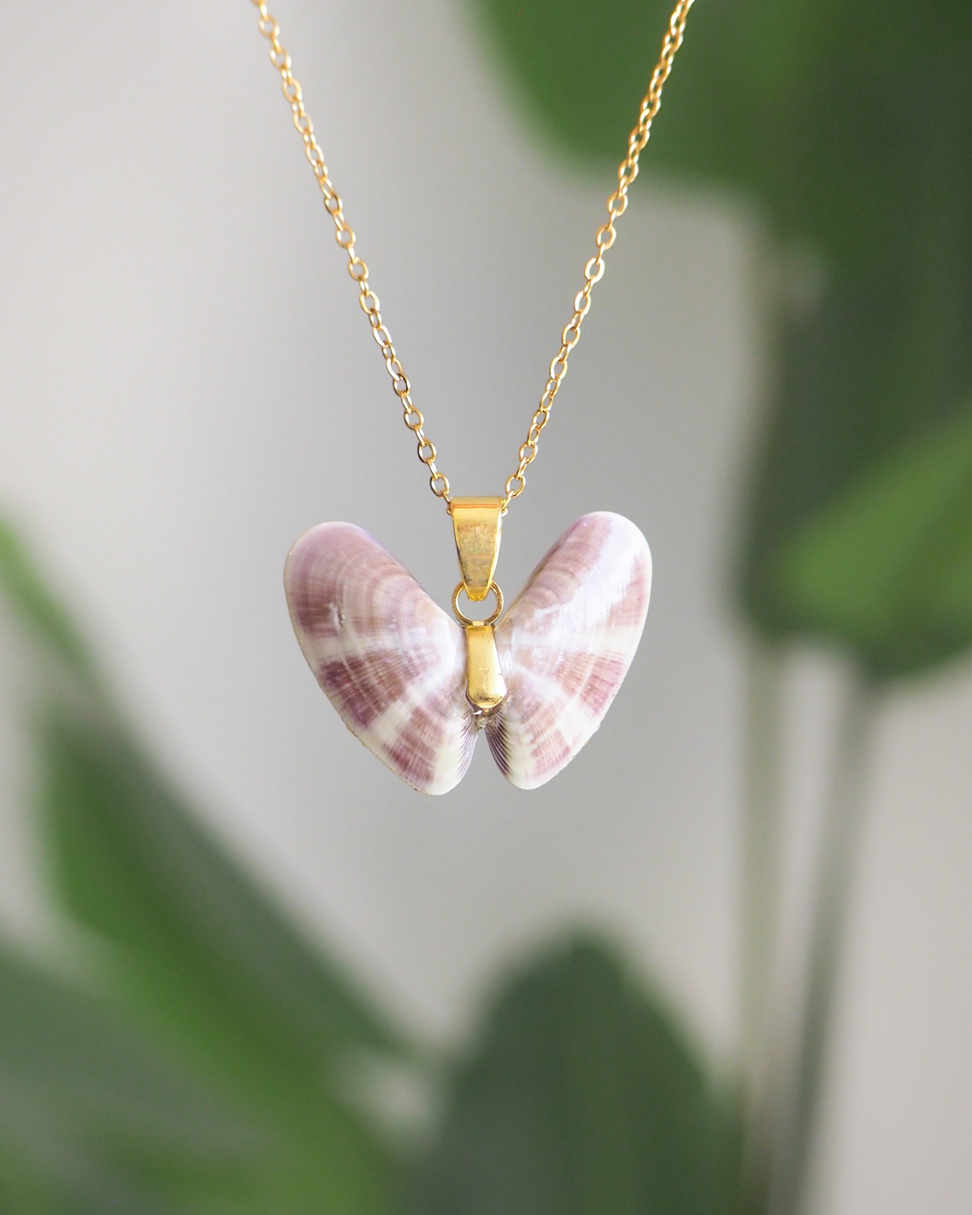 Purple Lovely Donax Coquina Shell Necklace