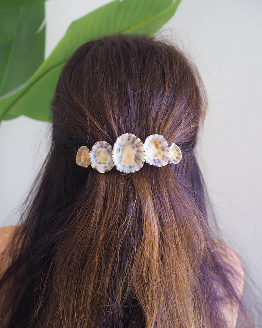 Limpet Shells Hair Clip Barrette in hair model, Boho Seashell Beach Clip from Portugal, Handpicked Real Shells, Seashell Hair Decoration, Bohemian Seashell Wedding Hair Assocciares, Coastal Christmas gift, Beach Wedding Hair