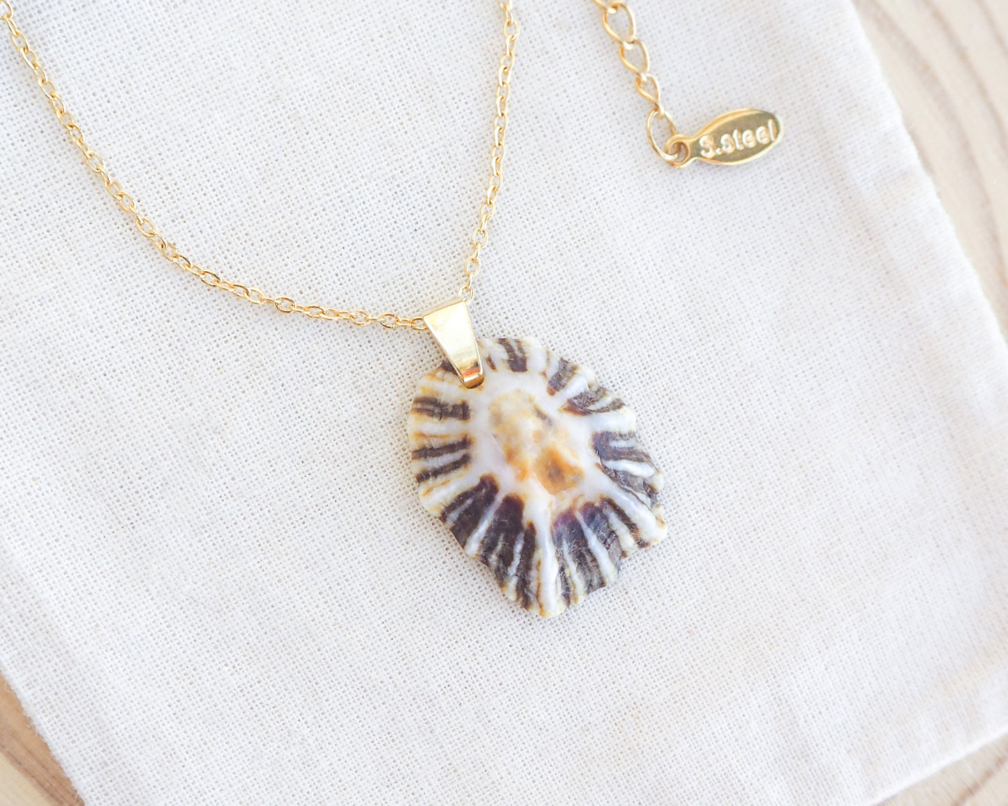 Black White Zebra Limpet Shell Gold Necklace on display