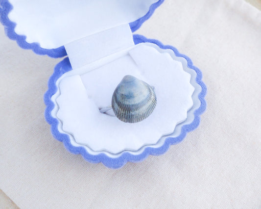 Blue Cockle Shell Silver Ring in Seashell jewelry box