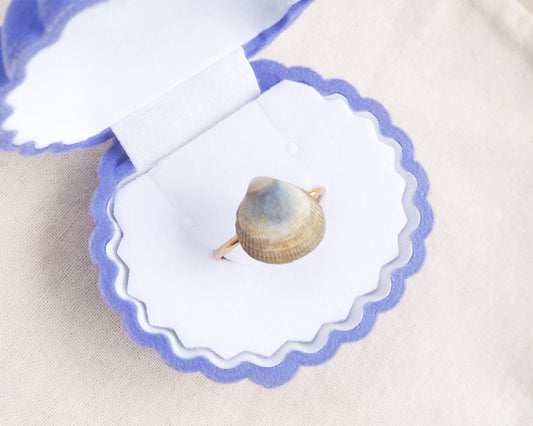 Close up of Blue Green Norwegian Cockle Shell Gold Ring on displayed in blue velvet seashell jewelry box, 18k gold stainless steel adjustable ring, handpicked cockle shell from Portugal