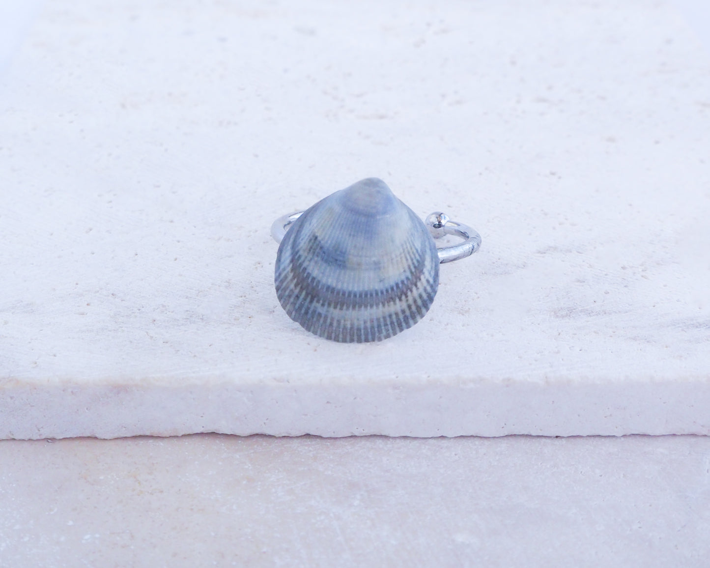 Silver Blue Cockle Shell Ring, Norwegian Cockle Shell Ring
