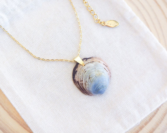 Blue Ungulina Rubra Shell Necklace with gold chain on display, handpicked blue mussel shell from Portugal, blue cockle shell