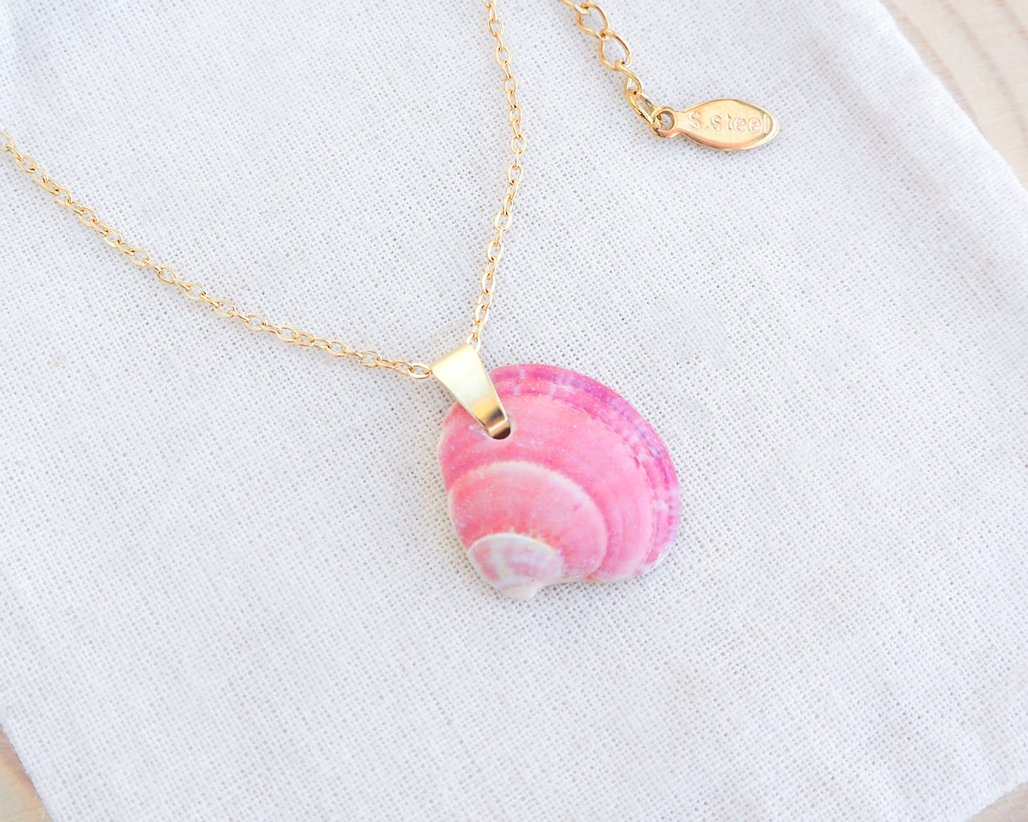 Pink Venus Shell on Gold Necklace on display, close up. Sea by lou, Pink Shell from Portugal
