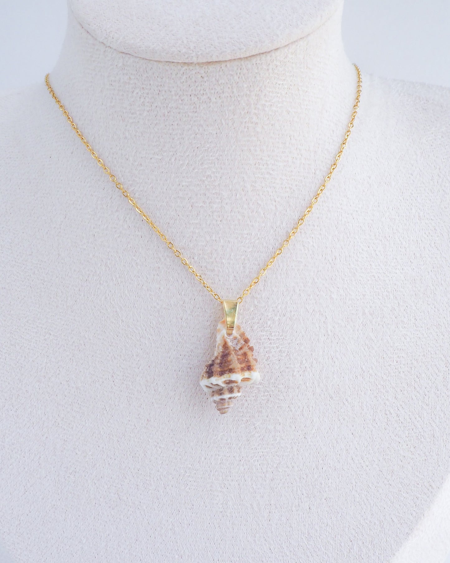 SEASHELL NECKLACE ~ Brown White Sting Winkle Shell