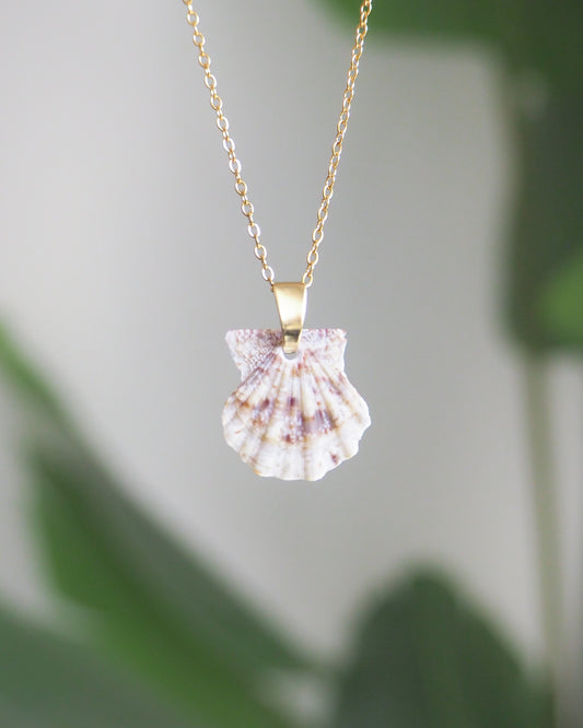 Brown White Leopard Scallop Shell Gold Necklace front view