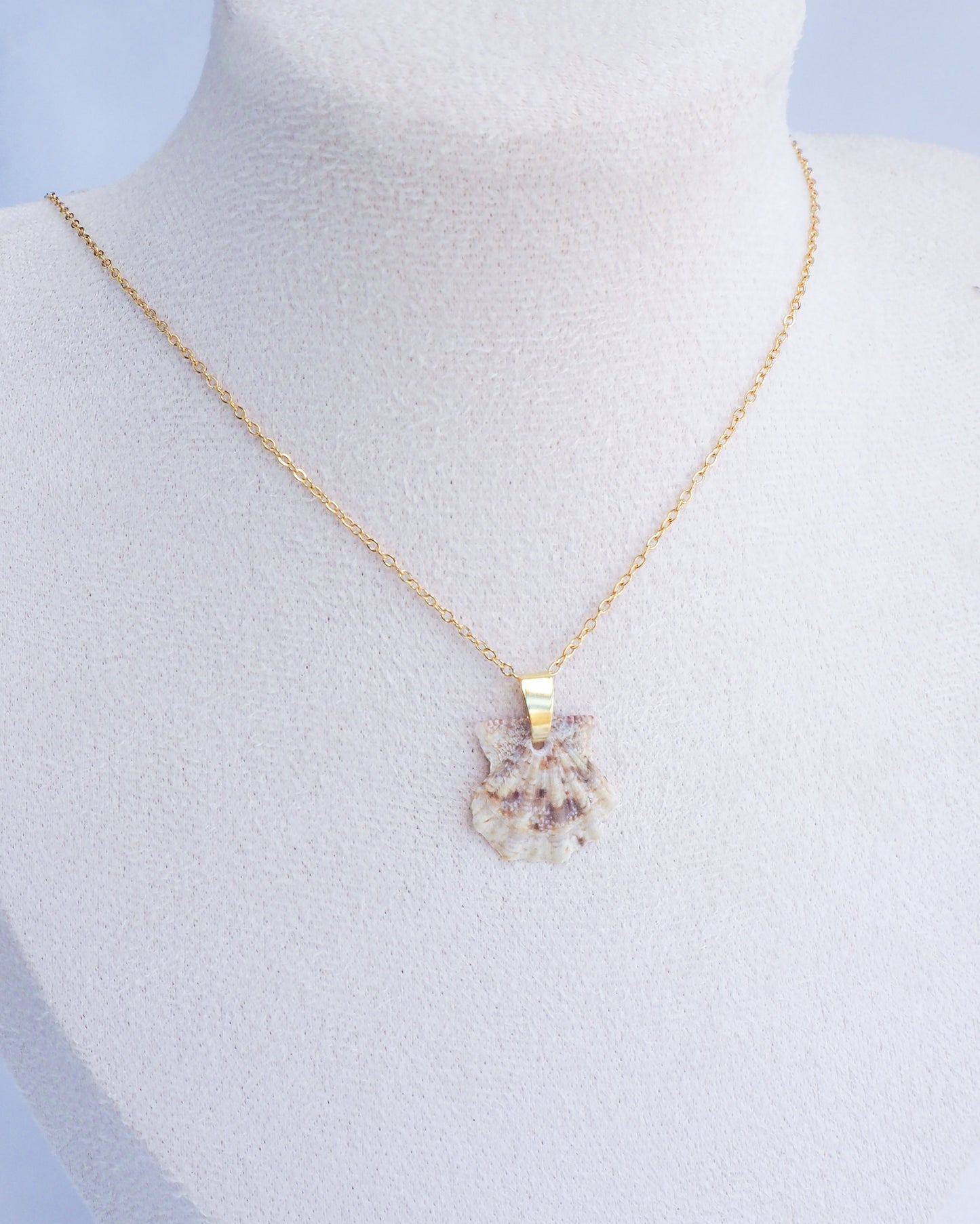 SEASHELL NECKLACE ~ Tiny Brown White Leopard Scallop Shell
