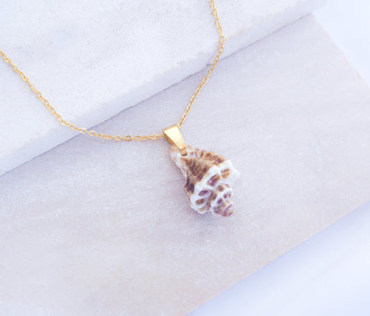 Brown White Sting Winkle Gold Necklace on display