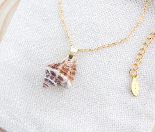 Gold Brown White Sting Winkle Necklace on display