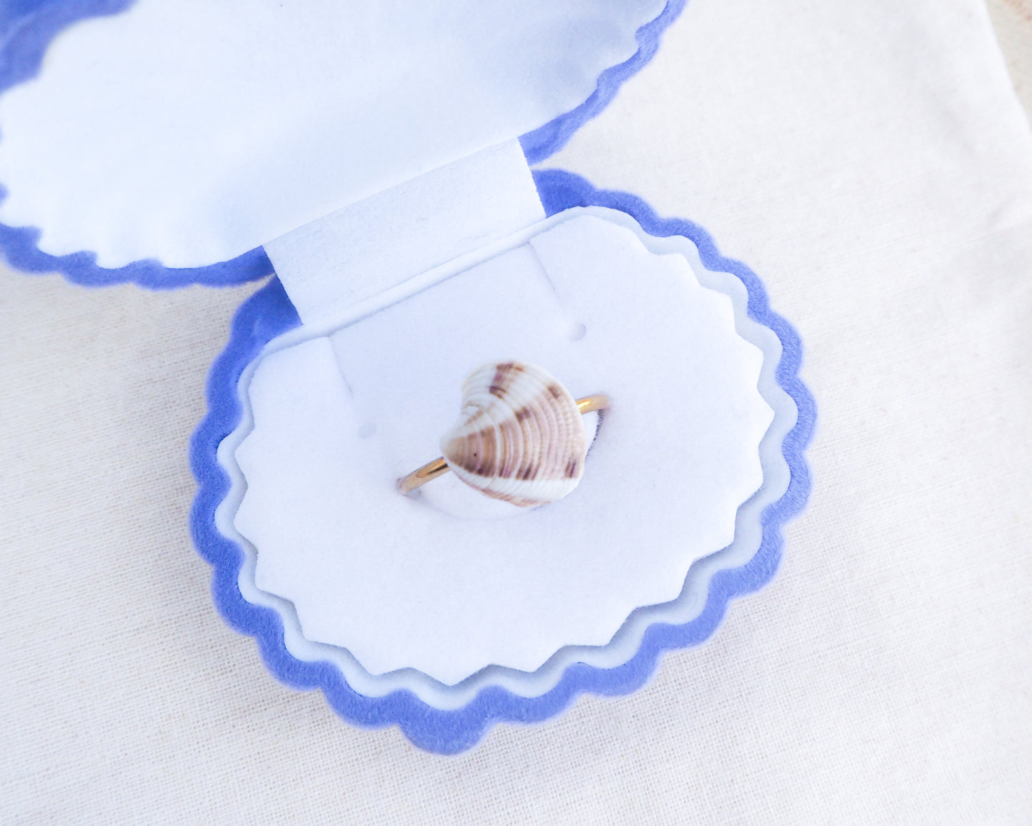 Brown White Venus Shell Gold Ring in Seashell box