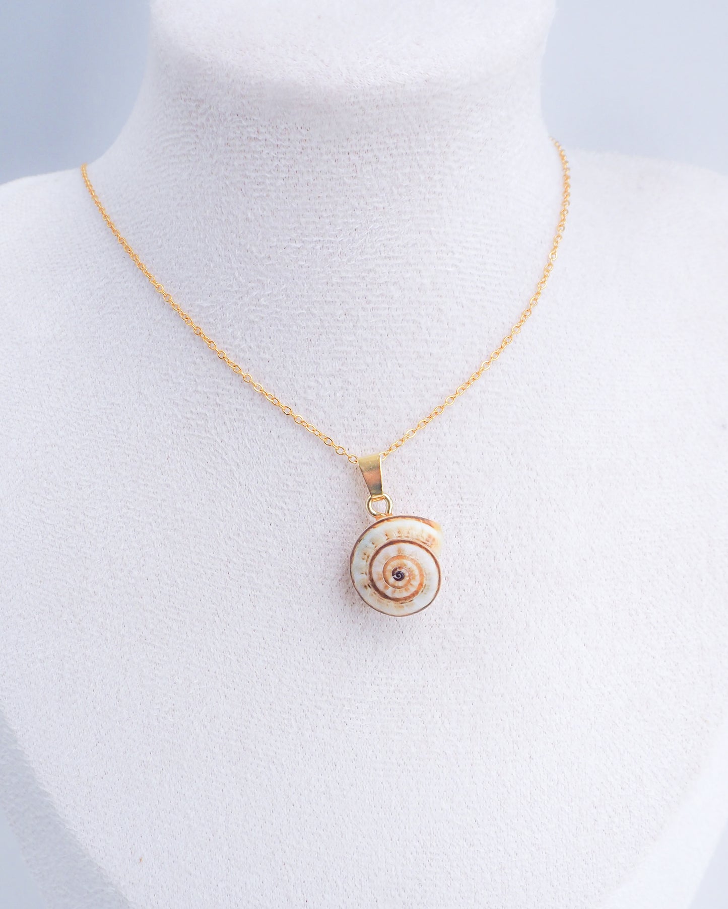 SEASHELL NECKLACE ~ Mediterranean Coastal Snail Shell