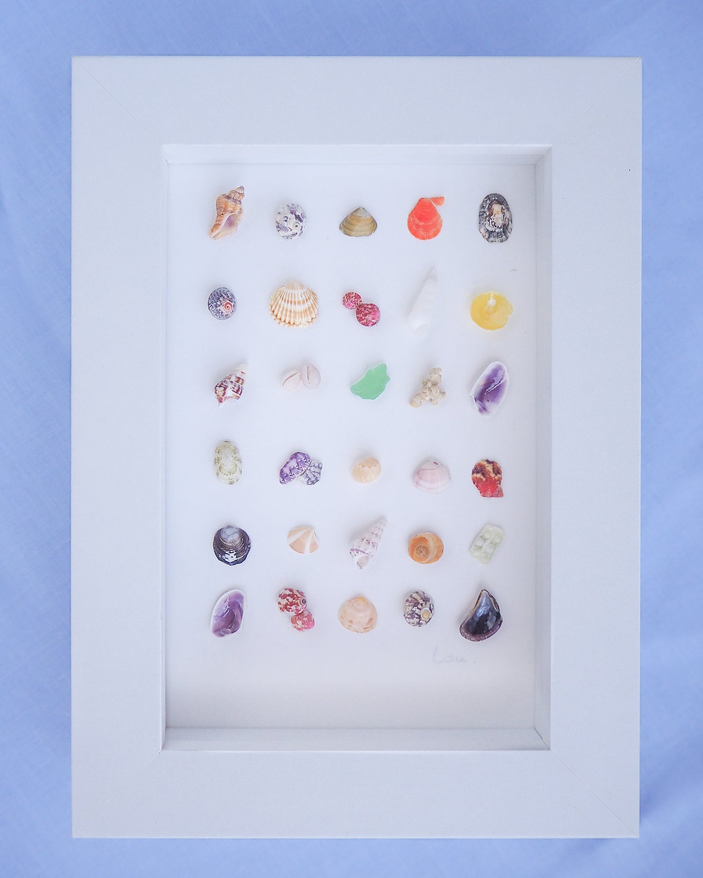 Coastal artwork Seashell Mini Mix featuring 30 tiny beach treasures and shells handpicked from Portugal set in a white glass frame box. Coastal Beach Art for nightstand and bookshelf. seabylou, SEA by LOU