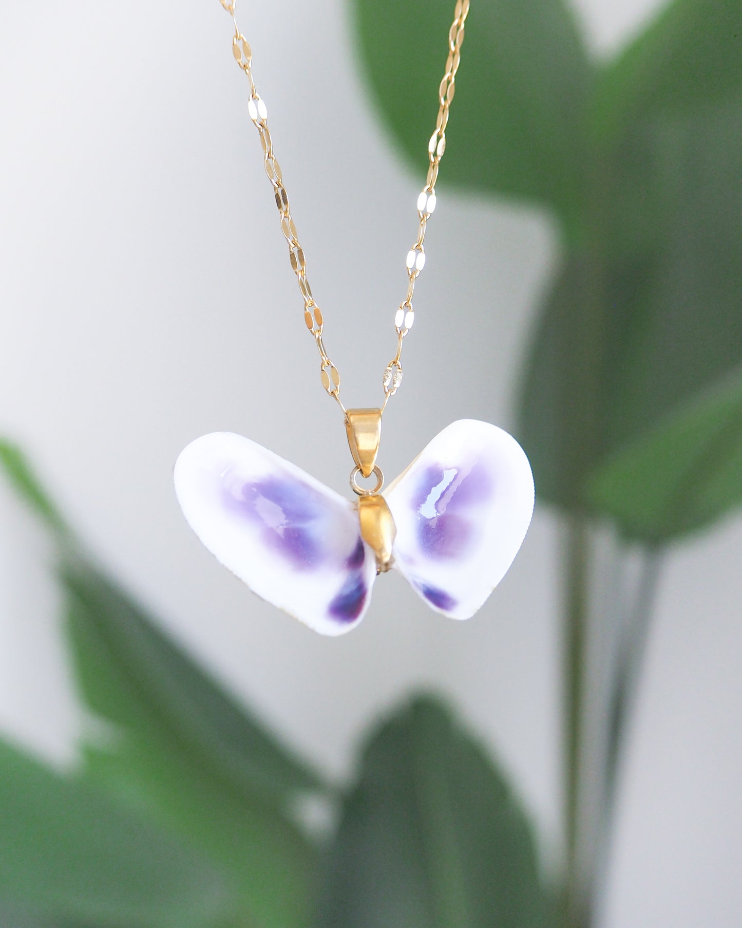 Purple Coquina Sea Butterfly Shell Necklace XII front view