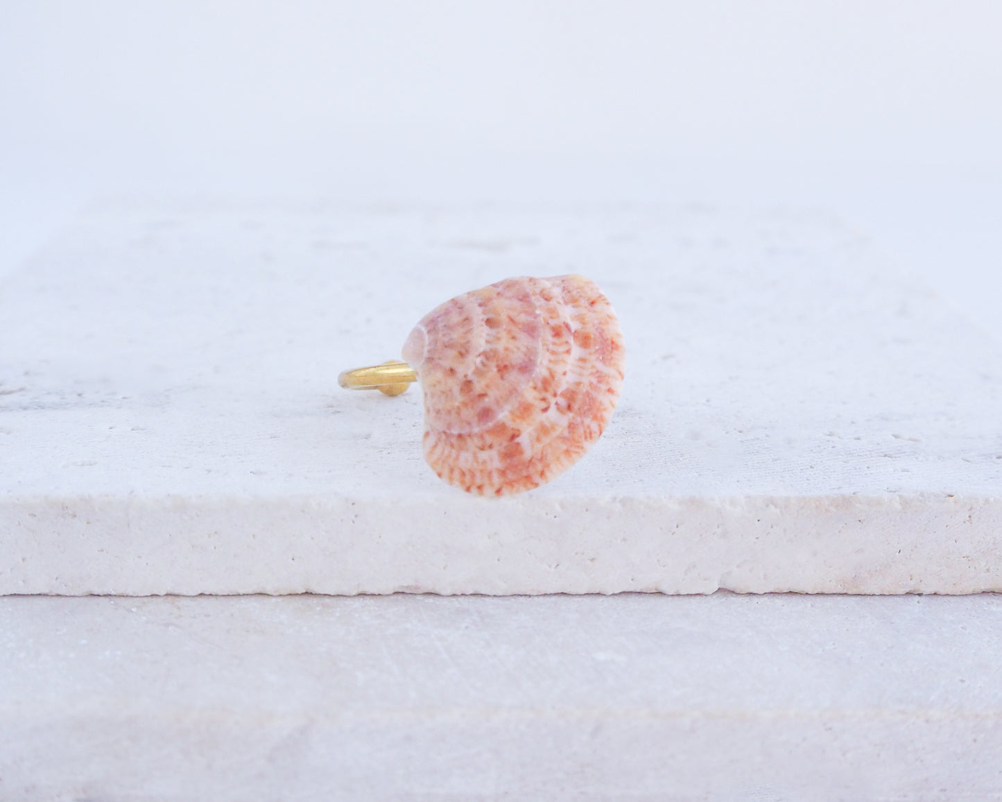 Coral Orange Pattern Venus Shell Gold Ring on display