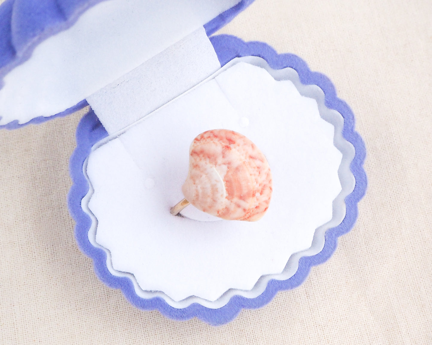Close up of Coral Pink Venus Shell Ring displayed in seashell jewelry box, Marble Pink shell on gold ring, handpicked real shell from Portugal