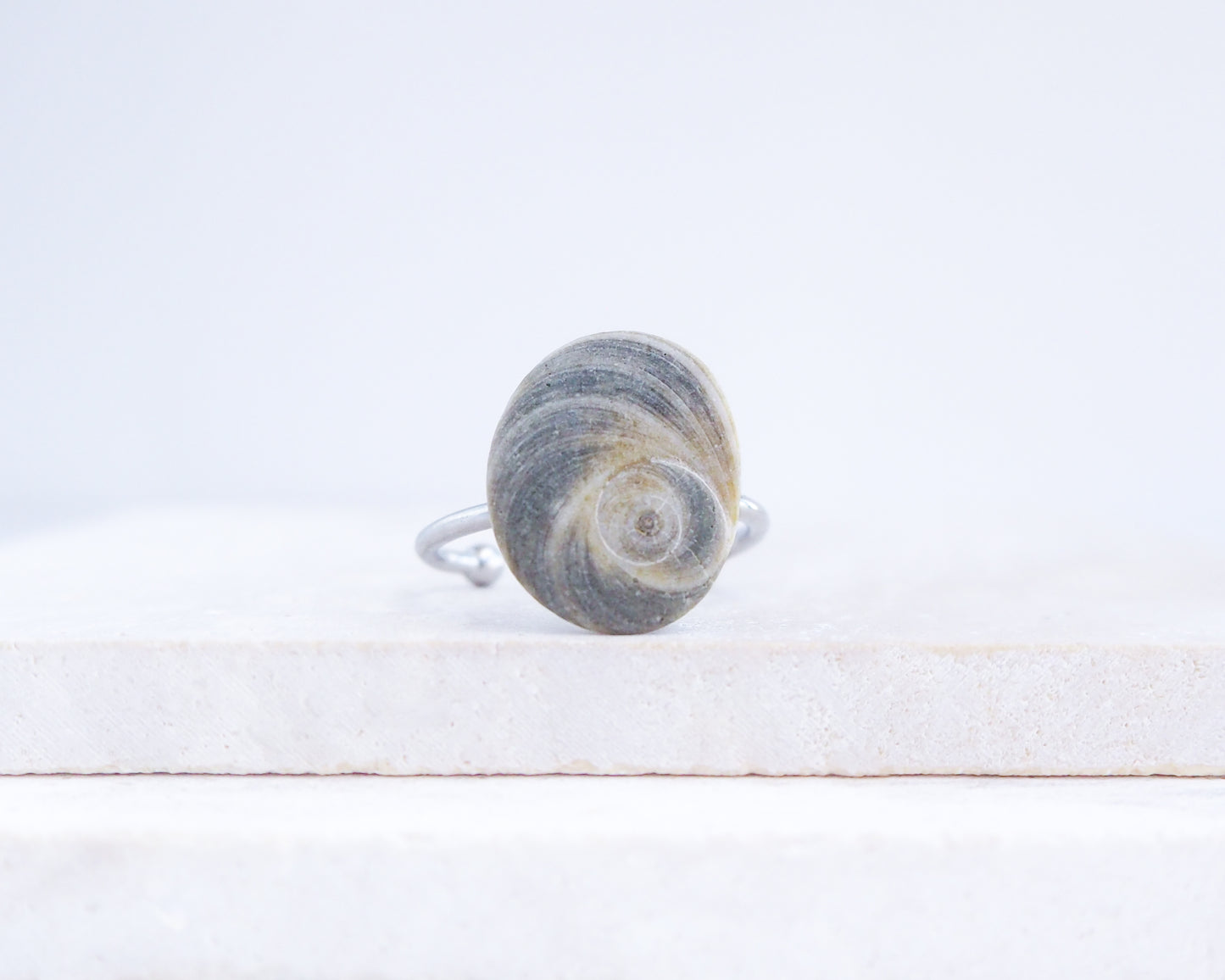 Dark Grey Eye of Saint Lucia Shell Silver Ring III displayed on stone front view, shiva eye from Portugal
