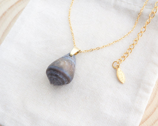 Dark Mediterranean Cone Shell Necklace with gold stainless steel chain on display