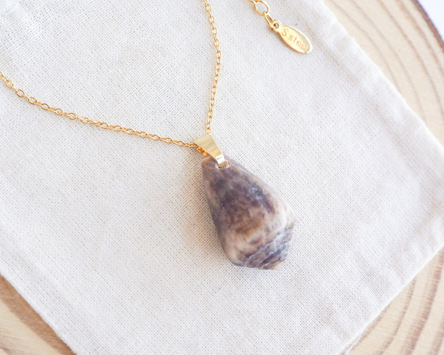 Dark Mediterranean Cone Shell II Gold Necklace on display