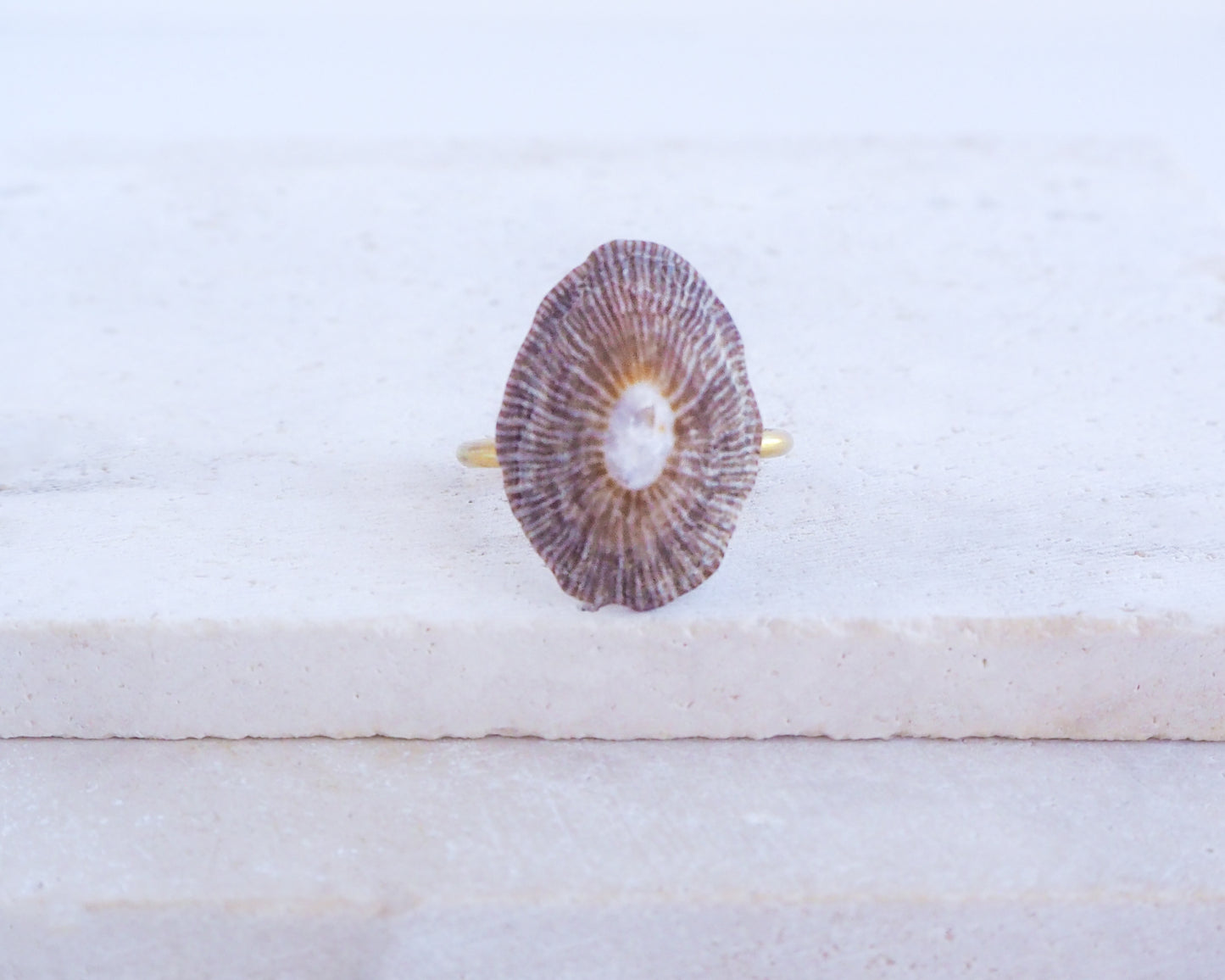 Dark Striped Limpet Shell Gold Ring front view