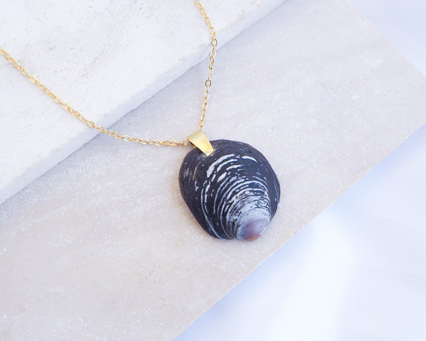 Dark Ungulina Rubra Shell Gold Necklace on display