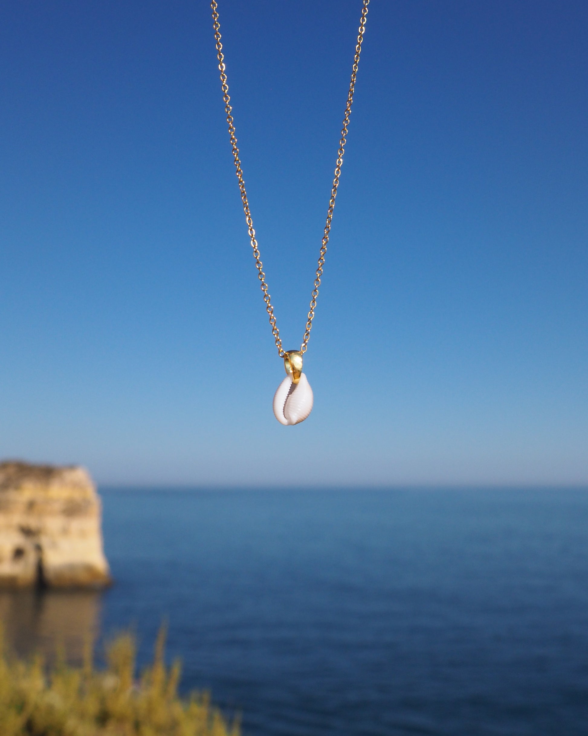 Cowrie Shell from Portugal, beijinhos do mar