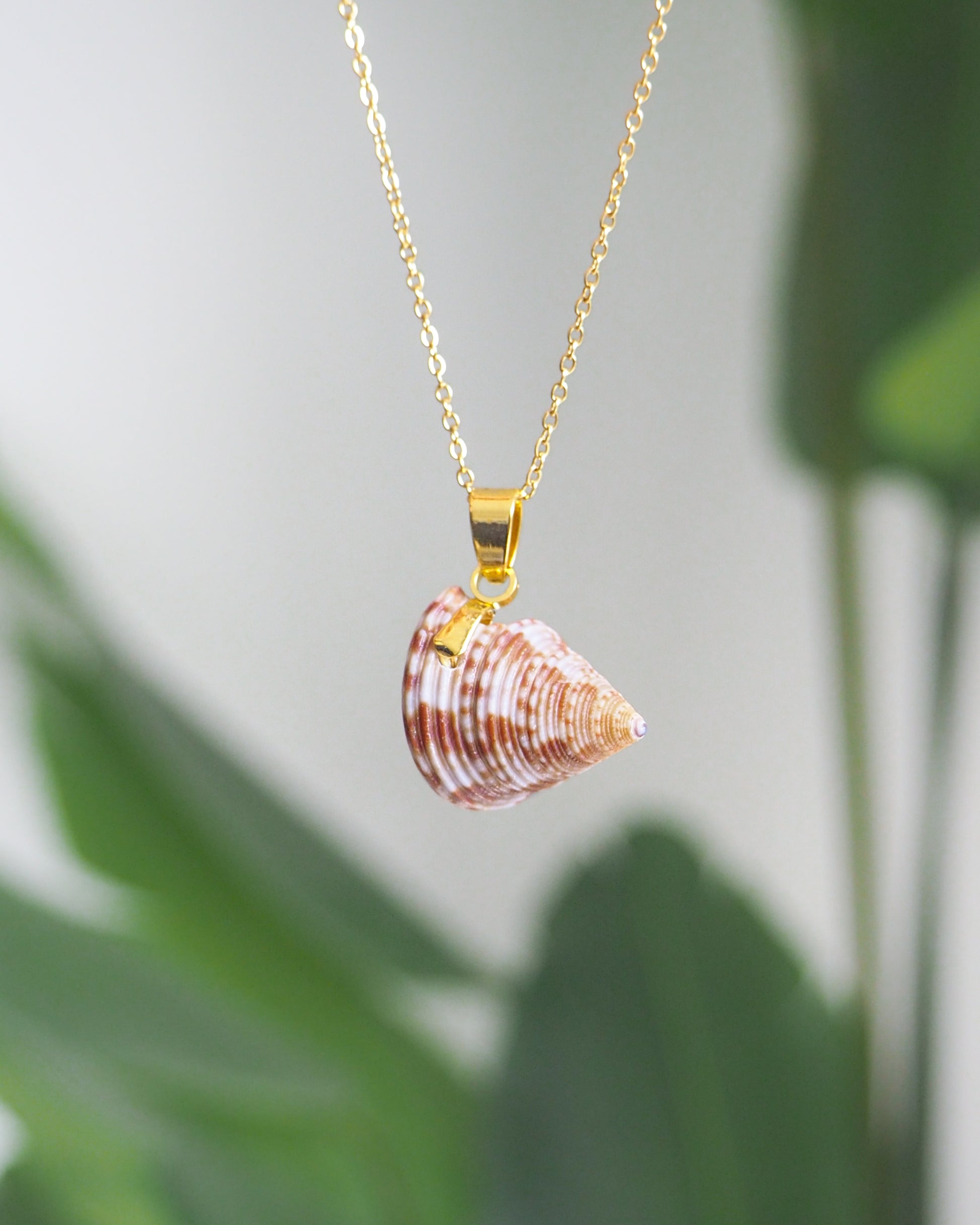 European Top Shell Gold Necklace