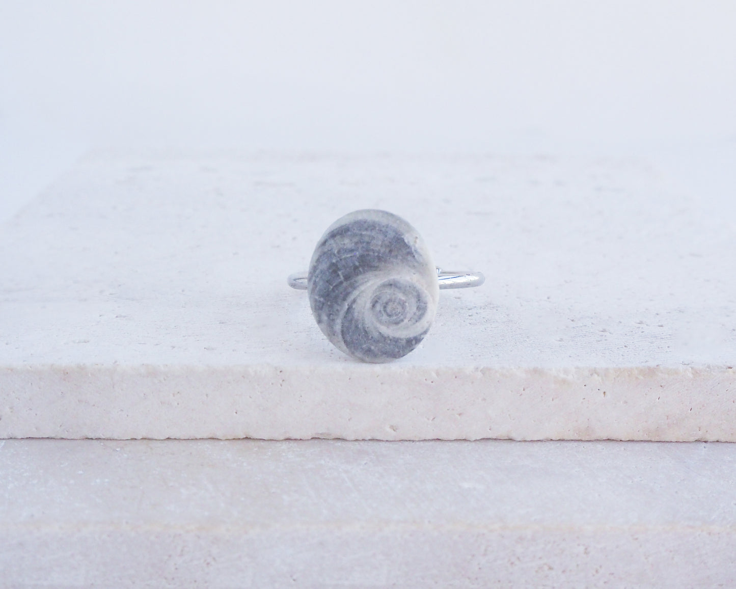 SEASHELL RING ~ Eye of Saint Lucia Silver