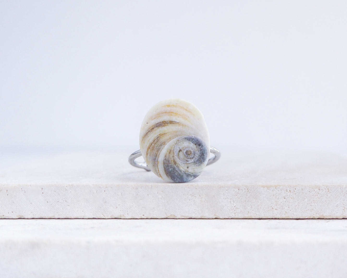 Eye of Saint Lucia Shell Silver Ring II displayed on stone front view, shiva eye from Portugal
