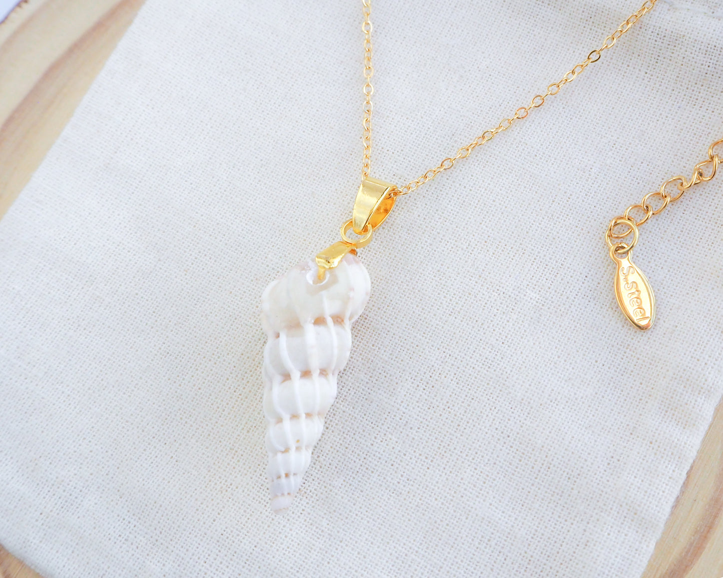 Front view of White Common Wentletrap Necklace on display