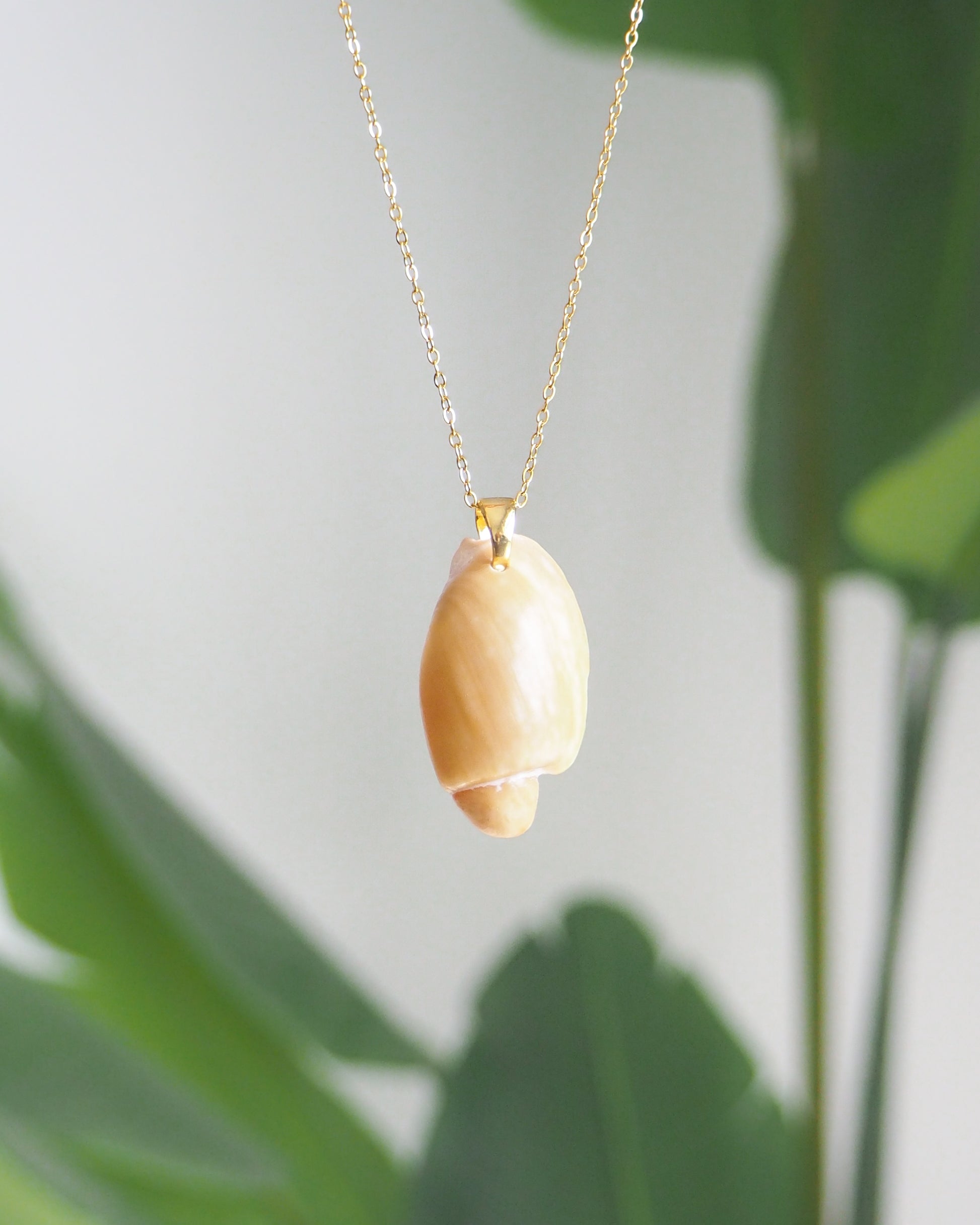 Algarve Volute Shell Necklace