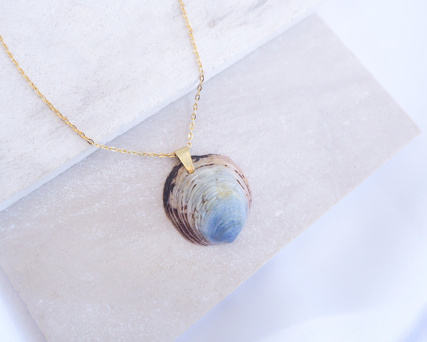 Blue Ungulina Rubra Shell Necklace with gold chain on stone displayed, handpicked blue mussel shell from Portugal, blue cockle shell