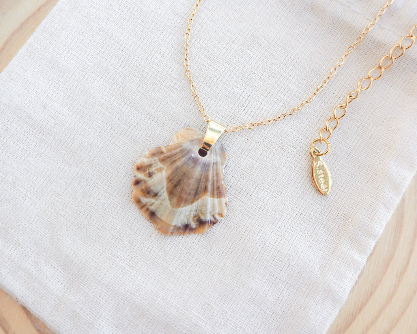 Brown Scallop Shell Gold Necklace on display side view