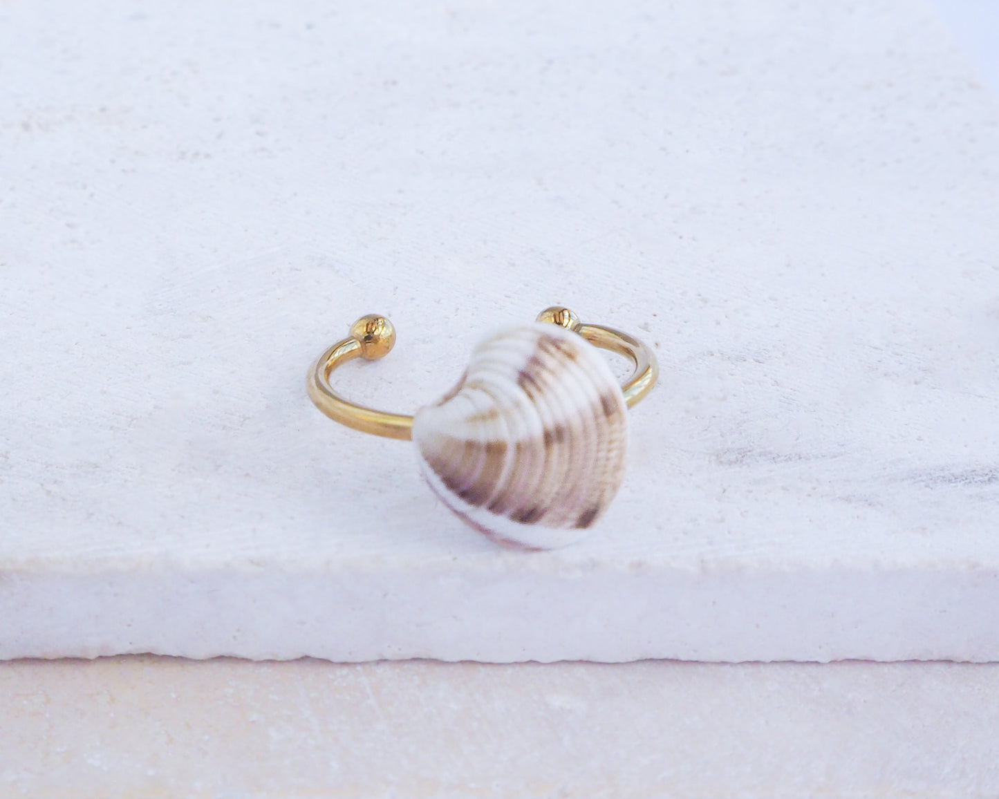 Gold Brown White Venus Shell Ring in Seashell box