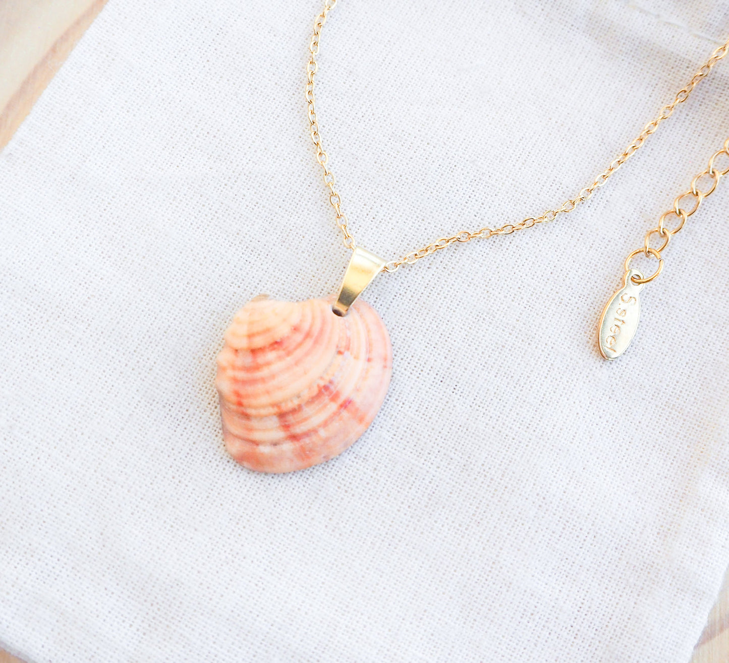 Gold Coral Venus Shell Necklace on display