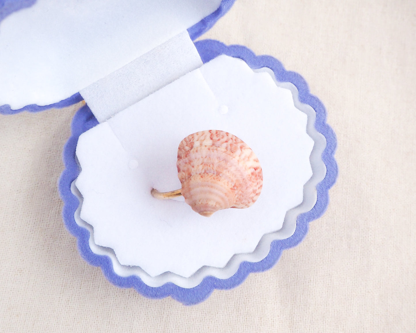 Pink Venus Shell Ring from Portugal displayed in blue velvet seashell jewelry box, Dusty Rose Pink shell on gold ring, handpicked real shell from Portugal