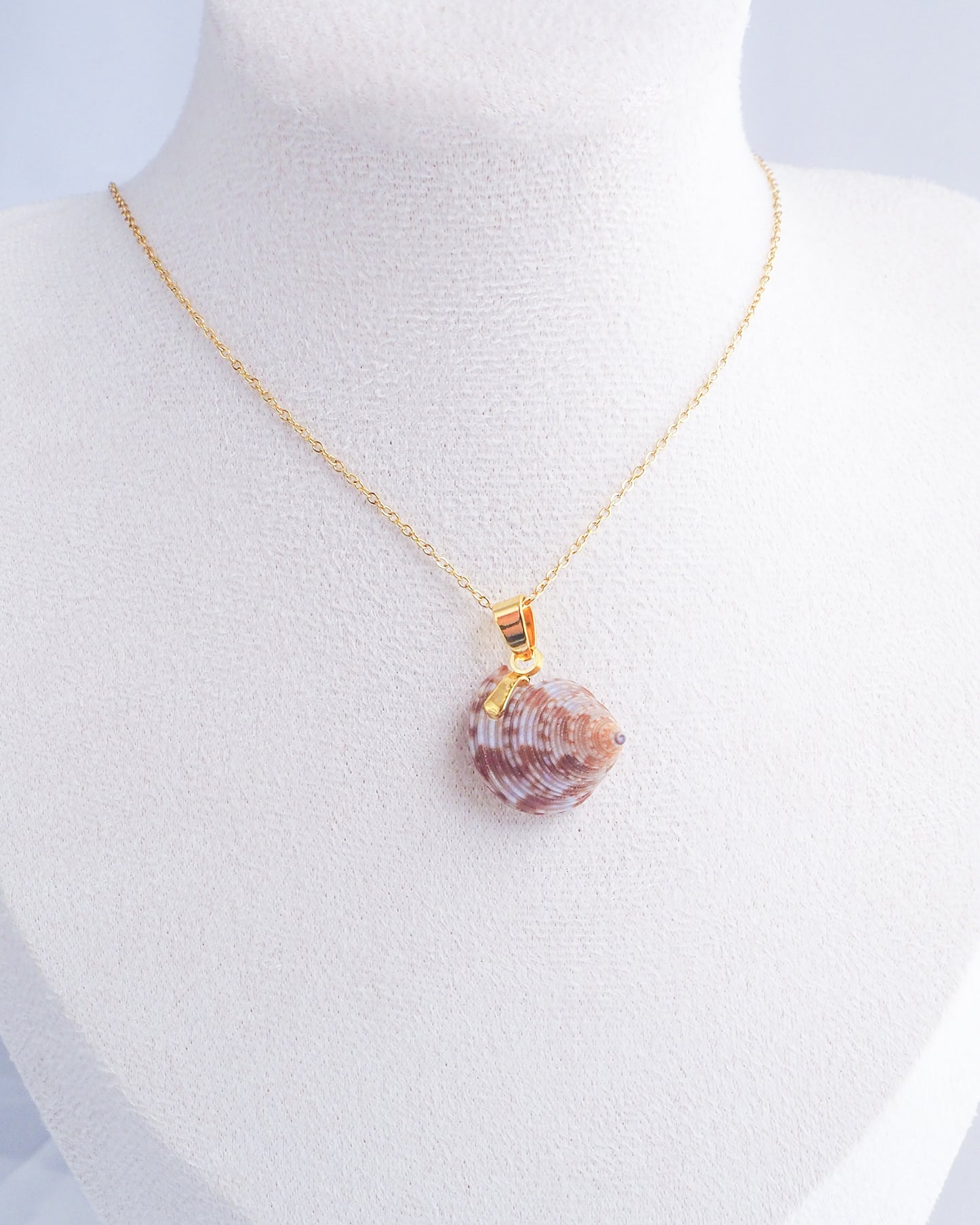 Gold European Top Shell Necklace on neck