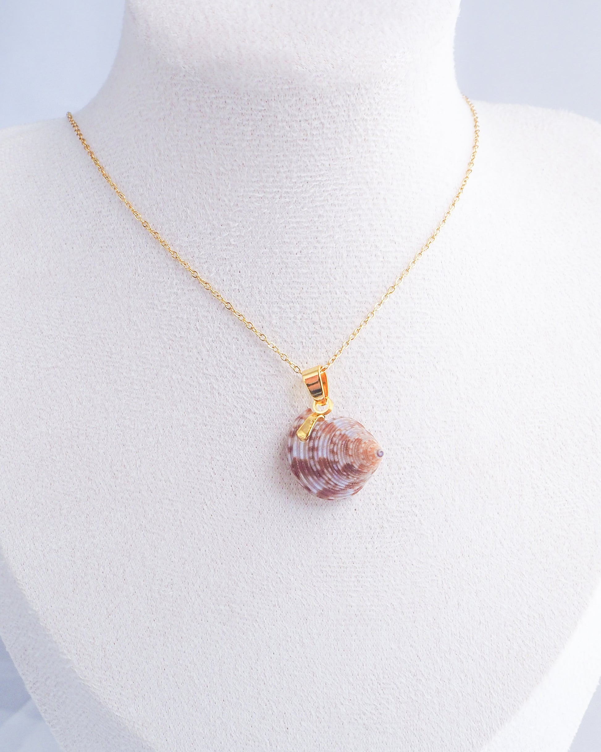 Gold European Top Shell Necklace on neck