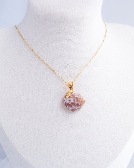 Gold European Top Shell Necklace on neck