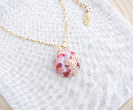 Gold Fuchsia Pink Magus Top Shell Necklace on display