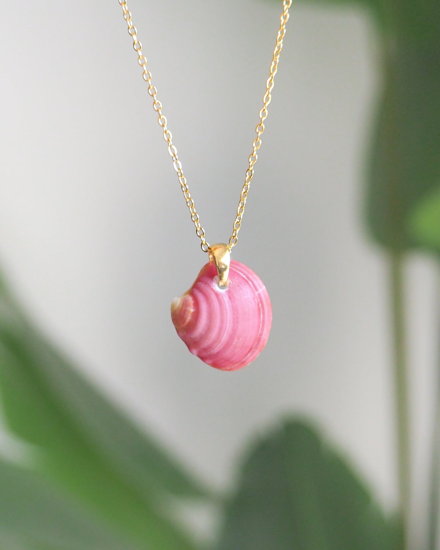 Fuchsia Pink Venus Shell Necklace front view
