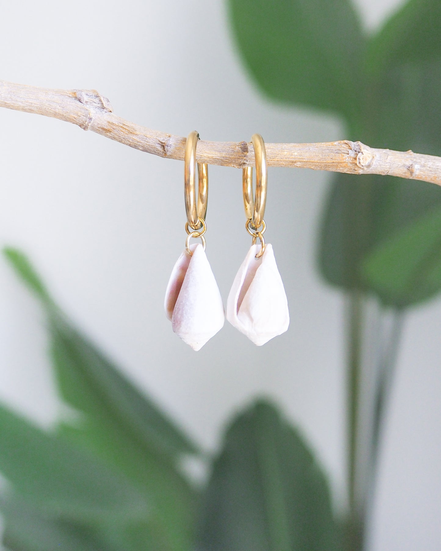 Light Mediterranean Cone Shell Gold Earring Hoops front view with plant background, handpicked cone shells from Portugal, 18k gold stainless steel shell earring hoops, seabylou