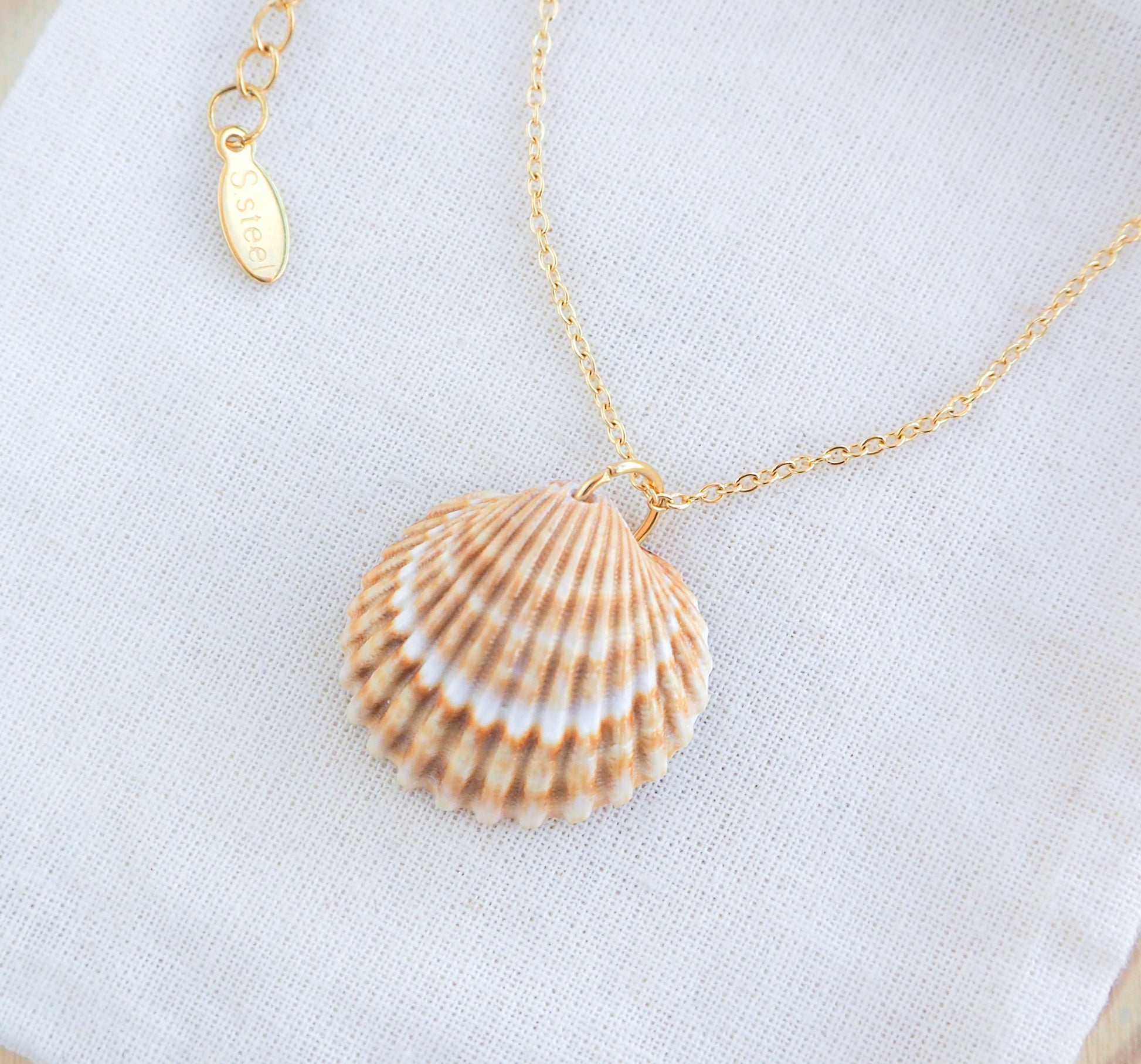 Gold Mediterranean Cockle Shell on display Necklace, Sunny Yellow Shell from Portugal