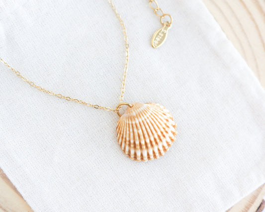 Mediterranean Cockle Shell Gold necklace from Portugal on a 18k gold stainless steel chain displayed on light cotton.
