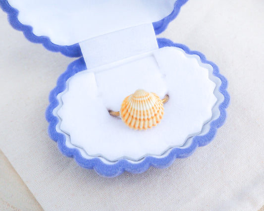 Gold Mediterranean Cockle Shell Ring from Portugal